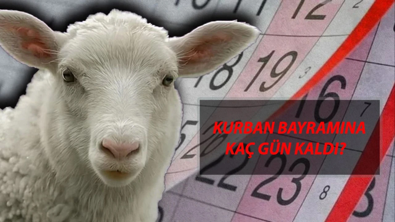 KURBAN BAYRAMINA KAÇ GÜN KALDI? 2025 Kurban Bayramı Ne Zaman?