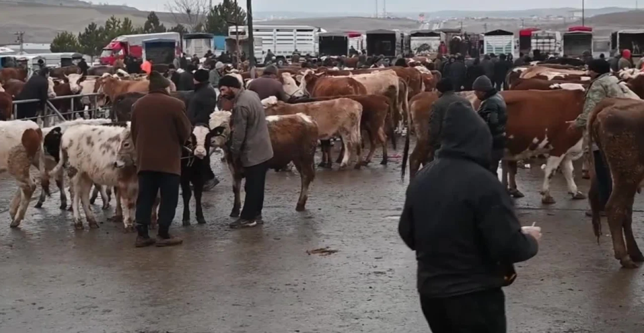 Şap hastalığı nedeniyle Çorum'dan sonra Yozgat'ta da tedbir amaçlı canlı hayvan pazarları kapatıldı