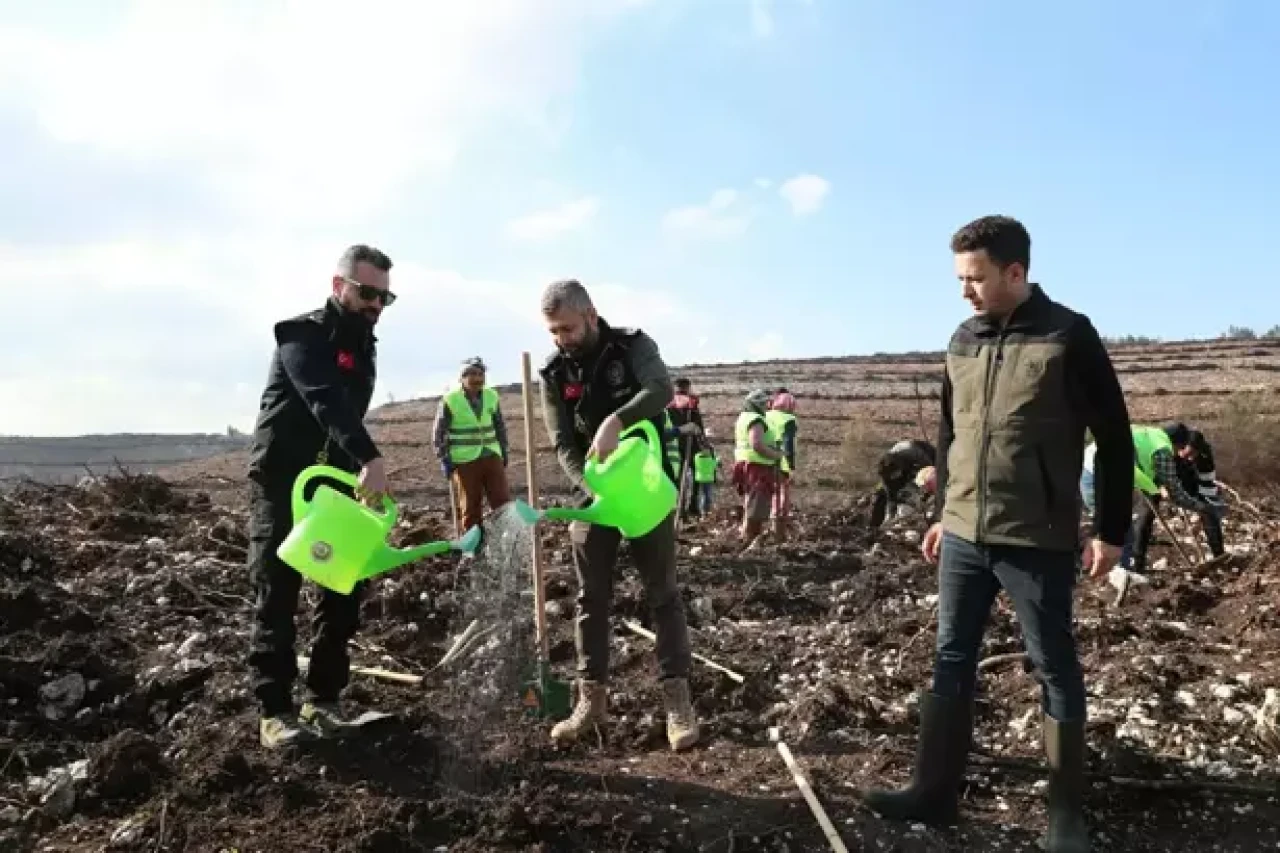 İzmir'de polisin diktiği fidanlar yanan ormanı yeşertecek