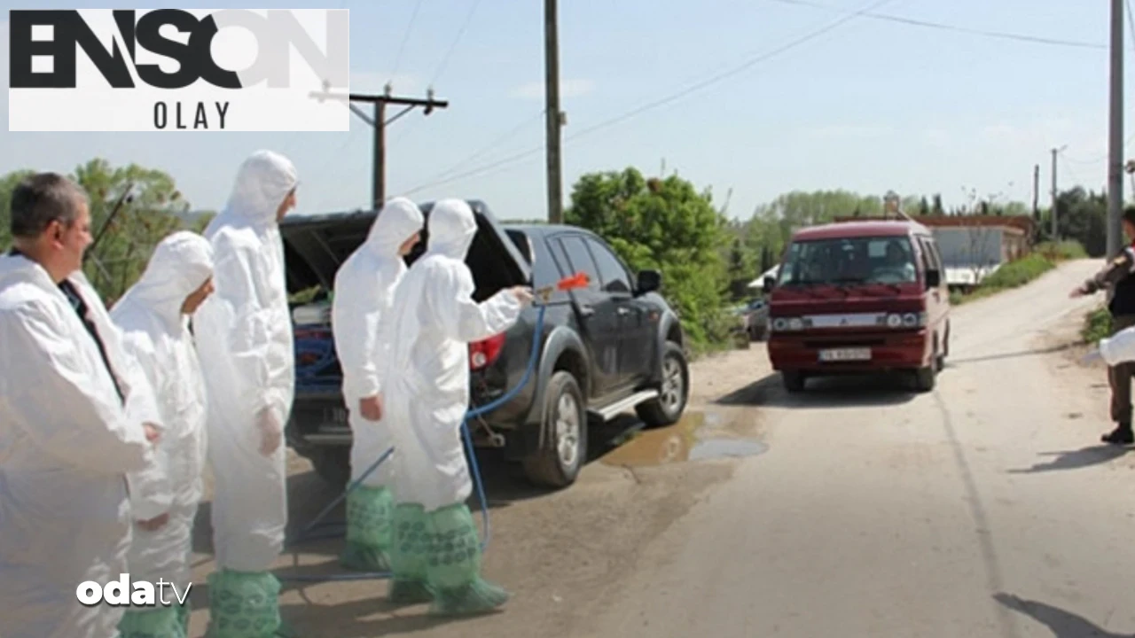 Elazığ'da 3 ilçede şap hastalığı tespit edildi, karantina uygulanıyor