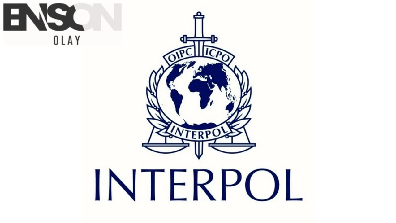 Interpol nedir? Interpol polisi ne iş yapar?