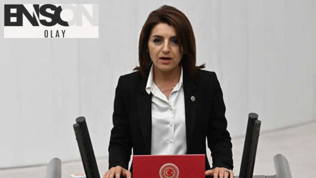 Gülcan Kış: 'Aile yılı hatıra değil, yoksulluk yılı oldu!'