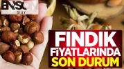 Fındık fiyatlarındaki güncel gelişmeler! İşte 4 Şubat'ta fındık fiyatları açıklandı