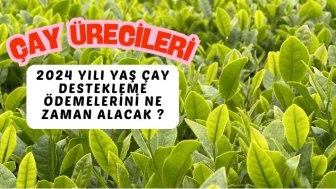 Çay üreticileri, 2024 yılı yaş çay destekleme ödemelerini Mart ayında alacak.