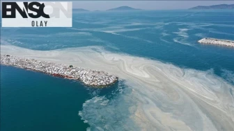 Marmara Denizi kirliliğine Yüzer bitki adaları çözümü