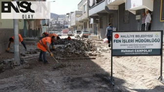 Haliliye’de güvenli ulaşım ağı için yollar onarılıyor