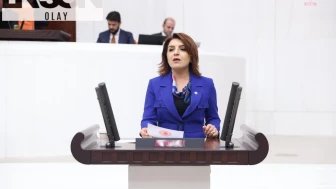 CHP'li Kış, İmamoğlu'nun gözaltına alınmasının ardından ekonomideki olağandışı hareketliliği Bakan Şimşek'e sordu: Büyük ölçekli işlemlerle ilgili inceleme başlatılmış mıdır?