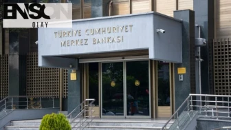 Krizin maliyeti Merkez Bankası'nın verilerinde saklı