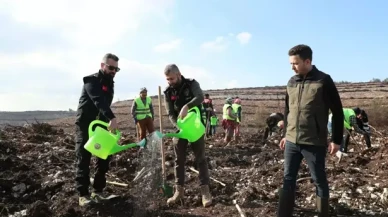 İzmir'de polisin diktiği fidanlar yanan ormanı yeşertecek