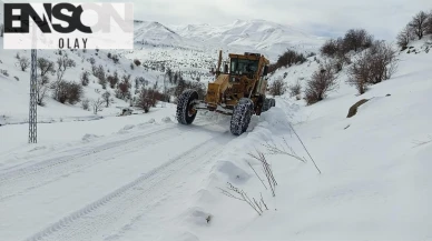 Kar yağışı Karadeniz'de hayatı felç etti