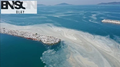 Marmara Denizi kirliliğine Yüzer bitki adaları çözümü