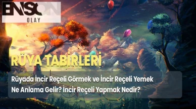 Rüyada İncir Reçeli Görmek ve İncir Reçeli Yemek Ne Anlama Gelir? İncir Reçeli Yapmak Nedir?