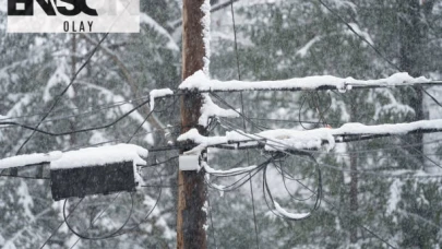 Artvin'de 01 Şubat Elektrik Kesintisi Planlı Kesintiden Etkilenecek Mahalleler