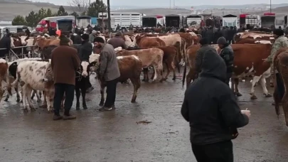 Şap hastalığı nedeniyle Çorum'dan sonra Yozgat'ta da tedbir amaçlı canlı hayvan pazarları kapatıldı