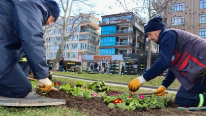 Yalova Akasya Park'ta çiçek ekimi